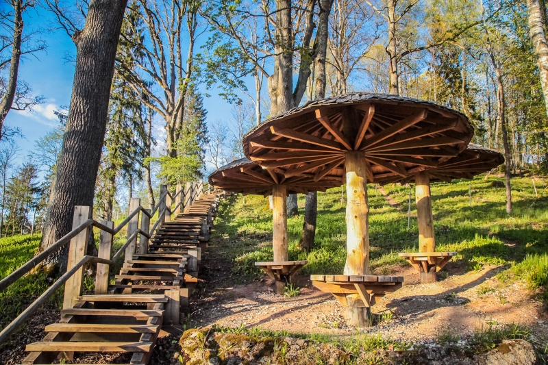 Take a peaceful walk on the Gauja National Park and visit Gutman's Cave