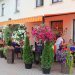 Cafes und Kneipen