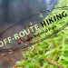 Off-route hiking in Gauja National Park