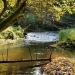 Ieriķi - Cecīļu Nature Trail       