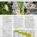 Vogelbeobachtung im Gauja-Nationalpark