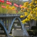 The Bridge over Gauja River       