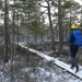 The Guardian - The wood life: my four days immersed in Latvia's forests